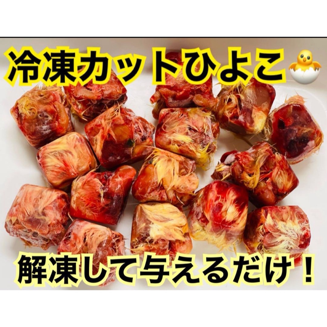 カットひよこ 100羽分 カットひよこ 100羽分