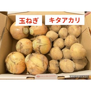 玉ねぎ　新じゃがいも　お野菜セット(野菜)