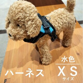 犬用ハーネス 首輪 胴輪 新品 XSサイズ（水色）(犬)