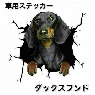 【即日発送】車用ステッカー　犬　3D　シール　カー用品　ダックスフンド(車外アクセサリ)