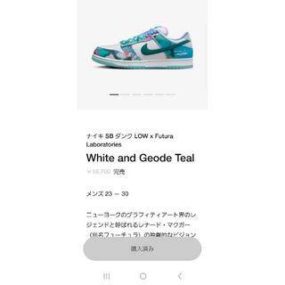 ナイキ(NIKE)のFutura × Nike SB Dunk Low　27cm(スニーカー)