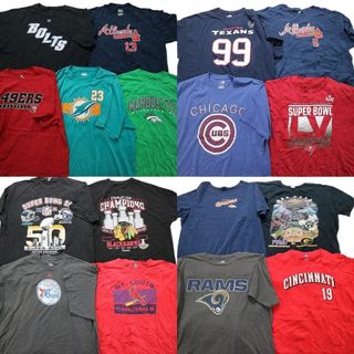 古着卸 まとめ売り プロチーム 半袖Tシャツ 17枚セット (メンズ 2XL /3XL /4XL ) NFL MLB NBA ブレーブス ドルフィンズ NHL MT2161(その他)