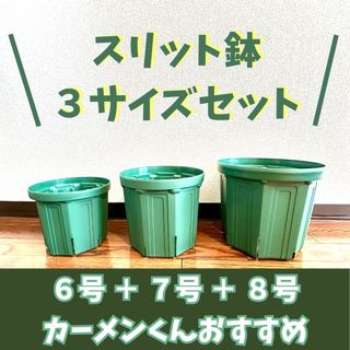 スリット鉢 6,7,8号 CSM-180,210,240 カーメンくん 兼弥産業(その他)