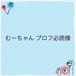 むーちゃん プロフ必読様専用お作り