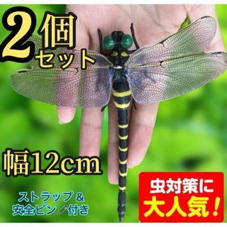 2個／超リアル　12cm オニヤンマ　おにやんま　オニヤンマ君　オニヤンマくん(その他)