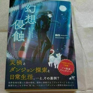 幻想侵蝕　引きこもりな私の単騎探遊 （ＭＯＲＮＩＮＧ　ＳＴＡＲ　ＢＯＯＫＳ）(文学/小説)