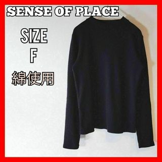 SENSE OF PLACE by URBAN RESEARCH - SENSEOFPLACE センスオブプレイス　薄手ニット　ストライプ　綿　黒　F