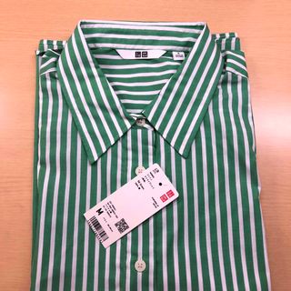 ユニクロ(UNIQLO)のコットンストライプシャツ、新品、緑①(シャツ/ブラウス(長袖/七分))