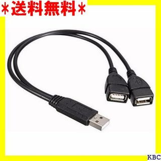 AGG USB 2.0 二股ケーブル、30cm USB A C19M2 239