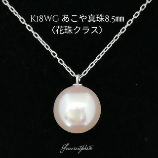 K18WG◯あこや真珠8.5㎜〈花珠クラス〉ネックレス◯ピッカリ✨艶々あこや真珠(ネックレス)