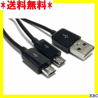 AGG USB 二股ケーブル USBA オス から マ 股 M2-100 249