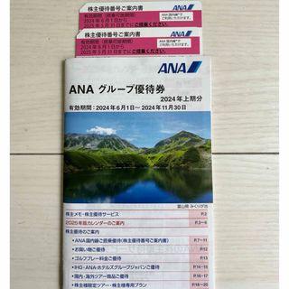 エーエヌエー(ゼンニッポンクウユ)(ANA(全日本空輸))のANA 優待券(航空券)