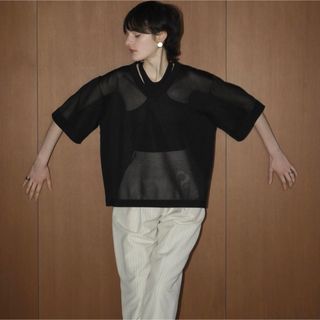 クラネ(CLANE)のCLANE SHEER V NECK KNIT TOPS(カットソー(半袖/袖なし))