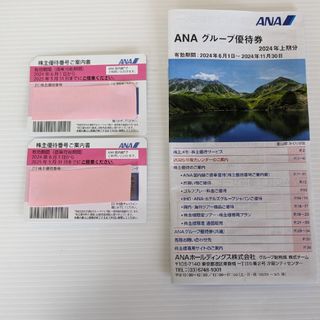 エーエヌエー(ゼンニッポンクウユ)(ANA(全日本空輸))のANA株主優待券(その他)