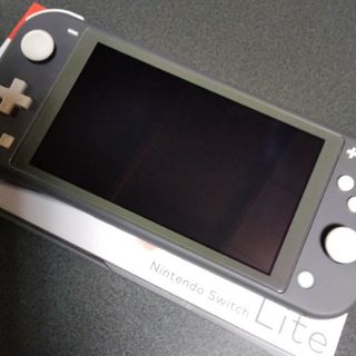 Nintendo Switch - Nintendo Switch Lite 本体 グレー