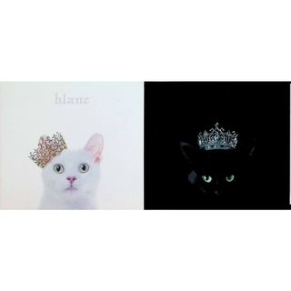 Aimer  BEST SELECTION ”noir”＋”blanc” 2点セット / Aimer (CD)(ポップス/ロック(邦楽))