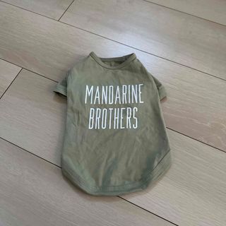 マンダリンブラザーズ(MANDARINE BROTHERS)のマンダリンブラザーズ　Mサイズ　(犬)