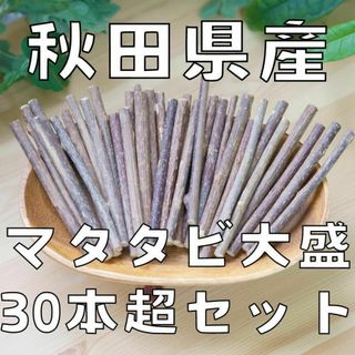 秋田県産 またたび大盛30本超セット75g[マタタビ]防腐剤不使用・天然モノ(猫)