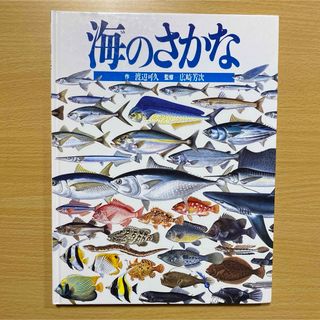 海のさかな(絵本/児童書)