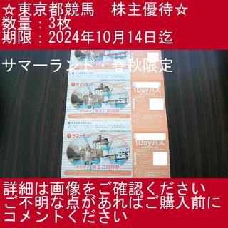 【3枚・サマーランド・春秋限定】東京都競馬　株主優待券(プール)