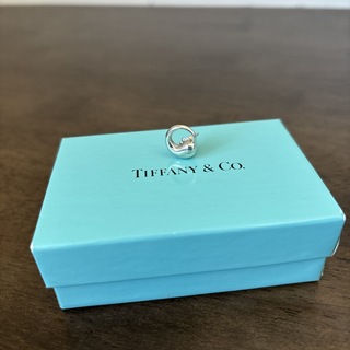 Tiffany & Co. - ティファニー エターナル シルバー ピアス