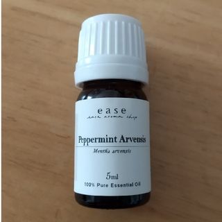 アロマオイル アルベンシスミント 5ml(アロマオイル)