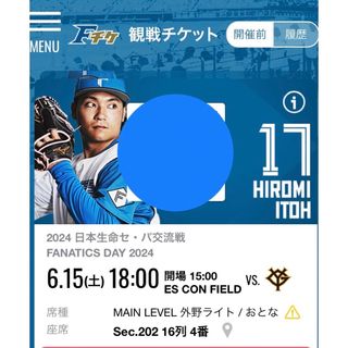 6月15日(水)北海道日本ハムファイターズチケット1枚(野球)