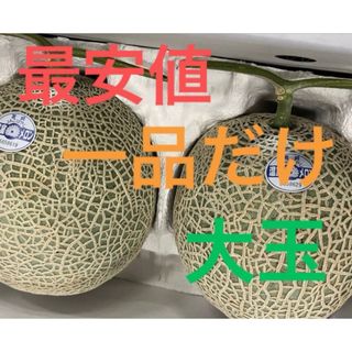 大玉　九州産アールスメロン　5L   2玉(フルーツ)