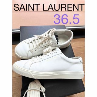 Saint Laurent - 美品【SAINT LAURENT】サンローラン スニーカー アンディ 36.5