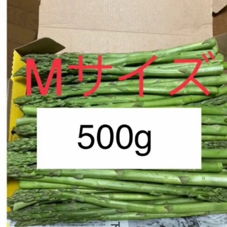 アスパラ　Ｍサイズ500g(野菜)