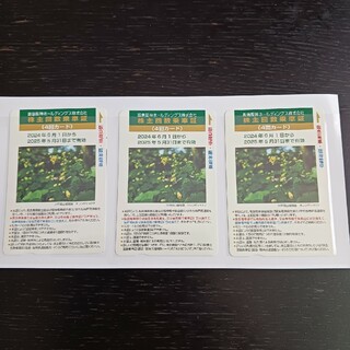 阪急阪神　株主回数乗車証12回分　(4回カード×3枚)(鉄道乗車券)