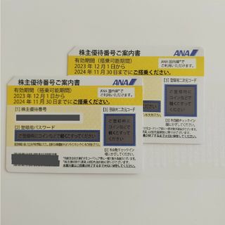 エーエヌエー(ゼンニッポンクウユ)(ANA(全日本空輸))のANA株主優待券(その他)