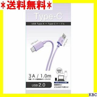 藤本電業 USB Type-A+Type-C ケーブル 1 -C14PU 331(その他)