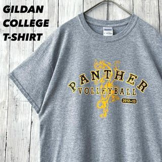 アメリカ古着　GILDAN パンサープリントTシャツ　サイズM 霜降りグレー　夏(Tシャツ/カットソー(半袖/袖なし))