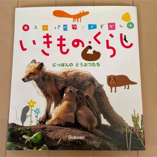 ガッケン(学研)のスーパーワイドずかん☆いきもの・くらし　学研(絵本/児童書)