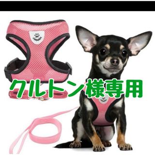 クルトン様専用　匿名発送　ペットちゃん用　ハーネス＆リード　通気良いメッシュ(犬)