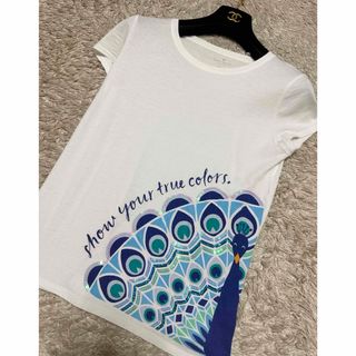 ケイトスペード　Tシャツ　トップス　クジャク柄　コットン100%  美品