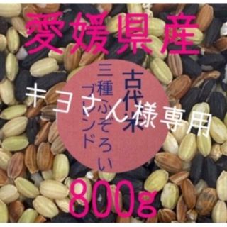 キヨさん様専用　古代米3種ふぞろいブレンド　愛媛県産　800ｇ(米/穀物)