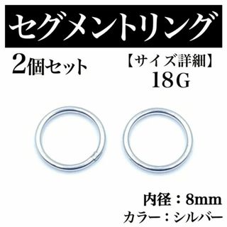 セグメントリング 18G 2本 フープピアス ボディピアス シルバー BP170(ピアス(片耳用))