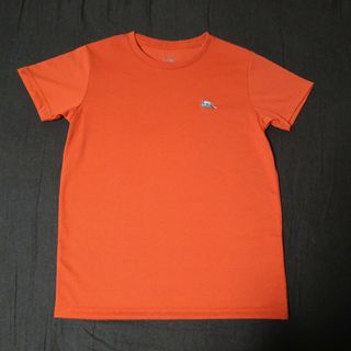 ザノースフェイス(THE NORTH FACE)のTHENORTHFACE　Tシャツ   レディースＳ(Tシャツ(半袖/袖なし))