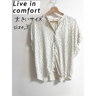 Live in comforrt（FELISSIMO） - 【大きいサイズ３Ｌ】 Live in comfort ドットフレンチスリーブ