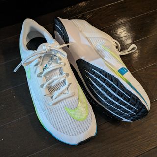 ナイキ(NIKE)の25cm ナイキ NIKE ライバル フライ3 Rival Fly 3(スニーカー)