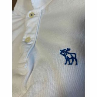 アバクロンビーアンドフィッチ(Abercrombie&Fitch)のAbercrombie & Fitch  ポロシャツ 超美品　Mサイズ(ポロシャツ)