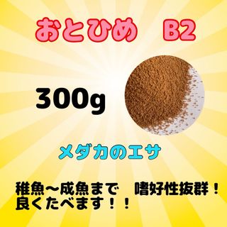 おとひめB2 メダカのエサ　300g