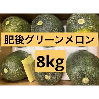 肥後グリーンメロン　 8kg(フルーツ)