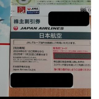 ジャル(ニホンコウクウ)(JAL(日本航空))の日本航空　株主優待(その他)