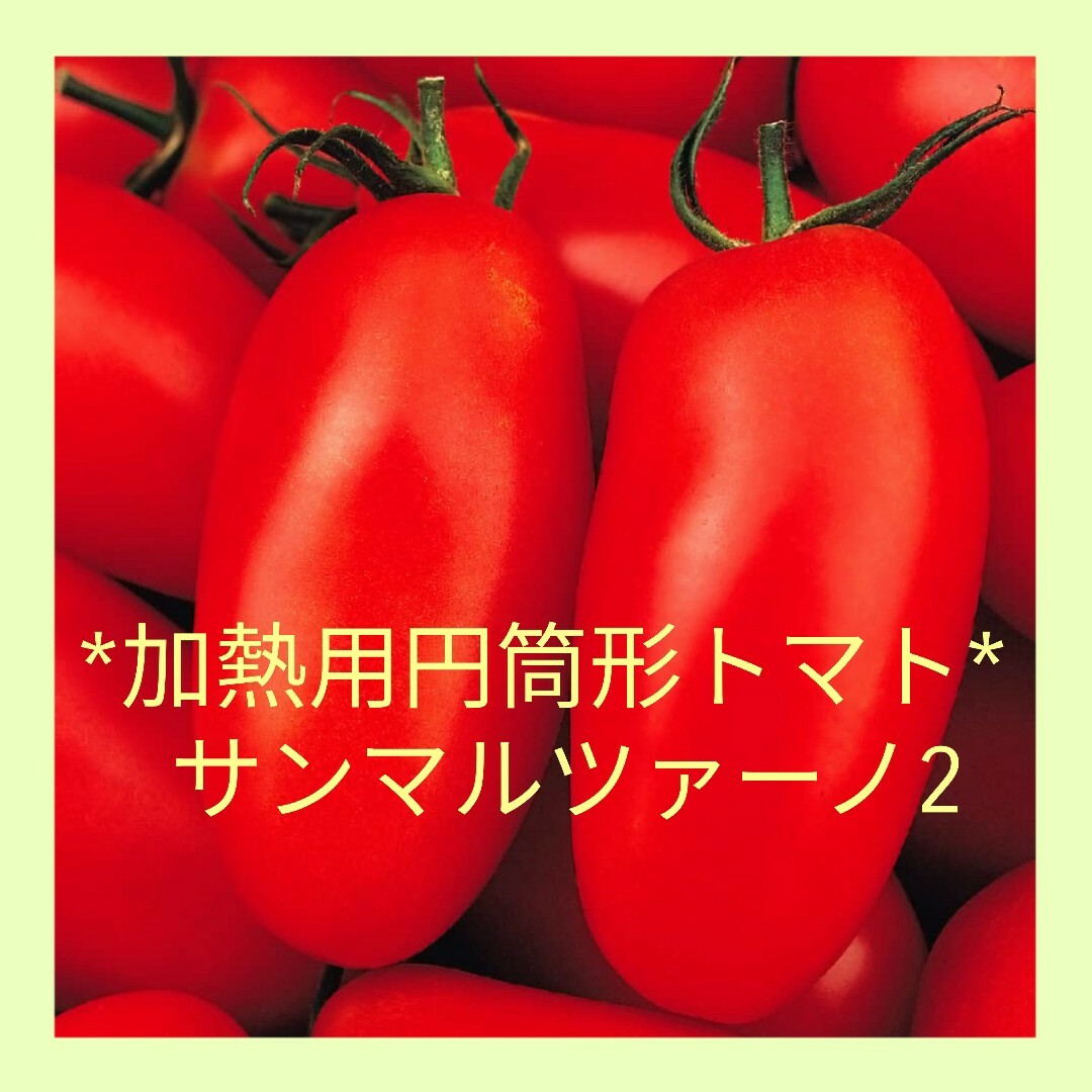 18粒 固定種 加熱用円筒形イタリアントマト✦サンマルツァーノ2✦野菜の種 ハンドメイドのフラワー/ガーデン(その他)の商品写真