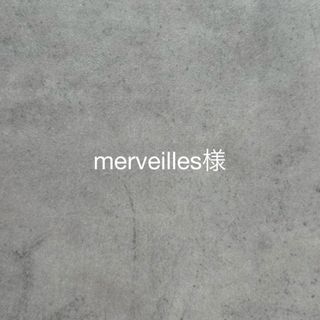 merveilles様専用(その他)