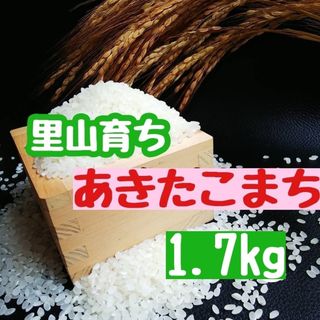 里山育ち　あきたこまち1.7kg(精米・令和5年産)(米/穀物)