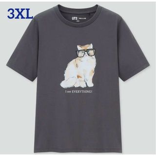 ユニクロ(UNIQLO)の新品未使用タグ付き　ポール&ジョー　Tシャツ　ユニクロコラボ　3XL(Tシャツ(半袖/袖なし))